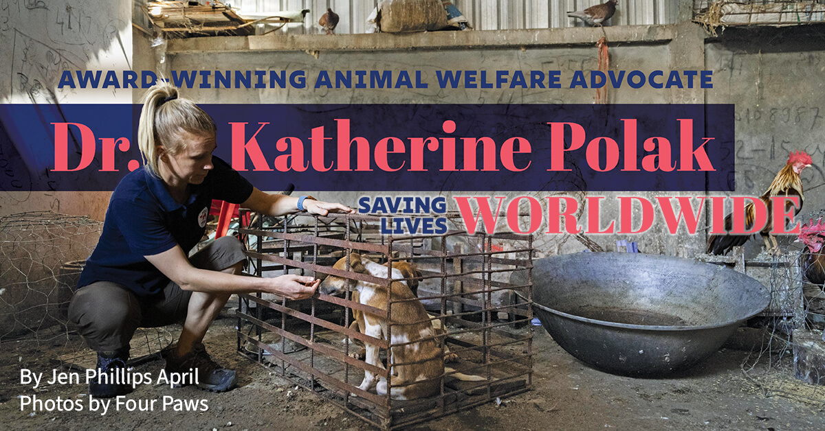 Dr. Katherine Polak Saving Lives Wordwide