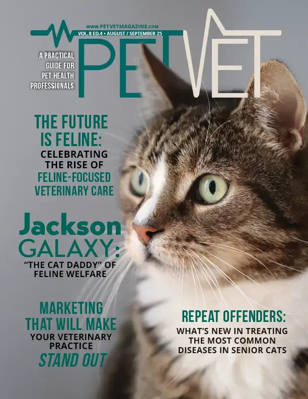 PV cover